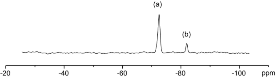 Fig. 1. 29 Si NMR spectrum of SiSPEEK.