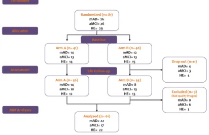 Figure 1. Workflow of the study showing the number of participants of each different group (mAD =  mild  Alzheimer’s  Disease;  aMCI  =  amnestic  mild  cognitive  impairment;  HE  =  healthy  elderly)  randomized in the two arms of the study. Arm A, in wh