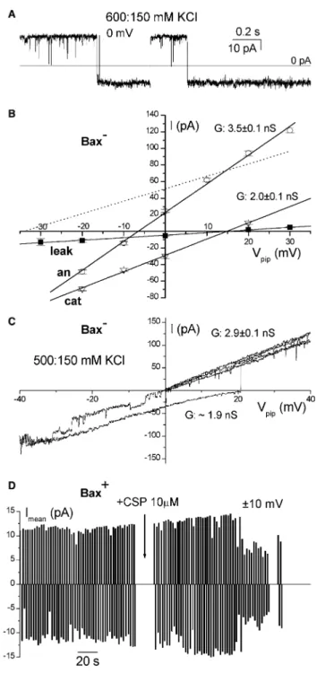 Fig. 4. Selectivity and insensitivity to CSP of the HCT116 MMC.