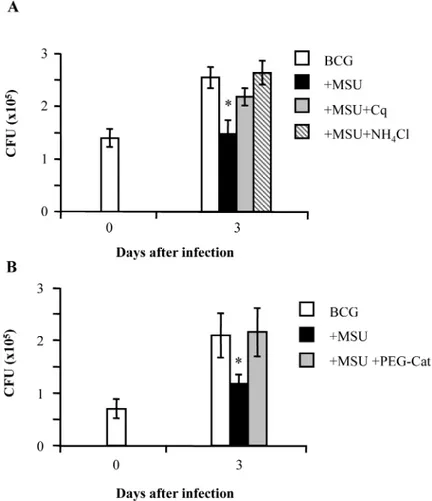 Fig 5. MSU crystals reduce intracellular BCG viability in a phagolysosome maturation dependent and ROS mediated manner