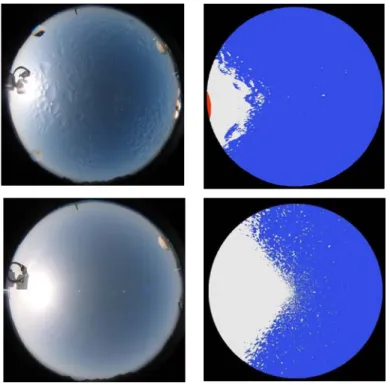Fig. 9. Example of critical images for cloud recognition: (first row) scattering effects for wet dome; 