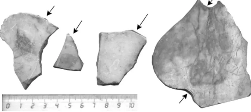Fig. 20. Esempi di crustae con tracce di segni preparatori al taglio sulla superficie a vista 
