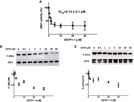 Figure 3. E ﬀect of GSTP1-1 on the activity of P-JNK1α2. Active JNK1 α2 (0.2 μM) (preactivated in the absence of GSTP1-1) was incubated in presence of increasing concentrations of GSTP1-1 (from 0.05 to 3 μM) before the addition of [γ- 33 P]ATP and ATF2