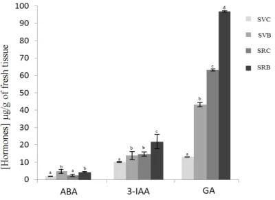 Figure 1. Effect of biochar on the germination of Svevo and Saragolla seeds. The histograms indicate  the germination percentage for each sample; the vertical bars represent the standard deviation of  mean of three replicates Svevo Control (SVC), Saragolla