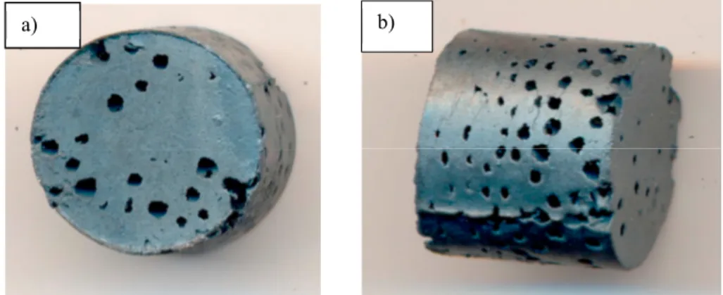 Fig. 1. (a) iron foam 60% Fe-40% urea, front view; (b) iron foam 60% Fe-40% urea, lateral view
