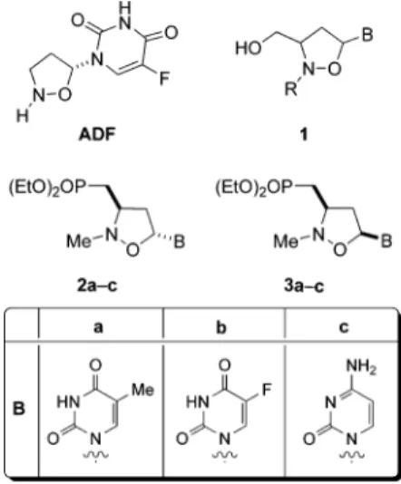 Figure 1. Nucleoside analogues.