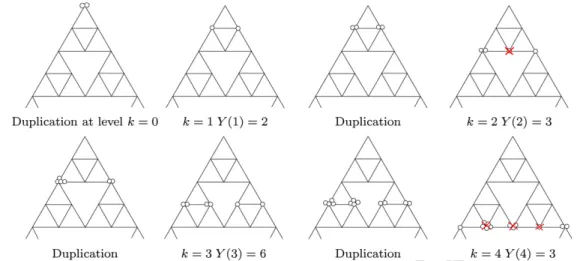 Fig. 1. A realization of the process Y ( k ) after the occurrence of the first duplication