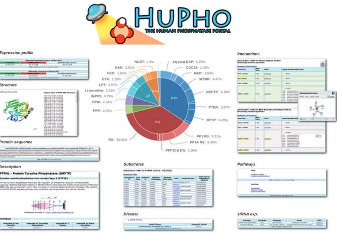 Fig. 1. The HuPho website. The figure offers an overview of HuPho functionalities. In addition to a ‘standard text search’ phosphatase infor- infor-mation can be accessed via an interactive cake graph, shown at the centre of the figure