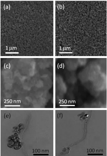 Fig. 1. SEM image at 10 kV of TiO 2 nanoparticle layer prepared in this work (a) without MWCNTs and (b) with 0.03% wt