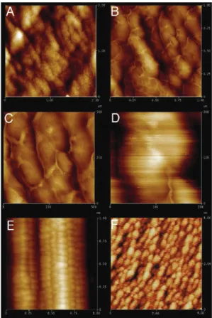 Figure 3. AFM image of ﬁbril structure across a range of size scales. (A D) Fibrils in the core region of spider silk ﬁbres;