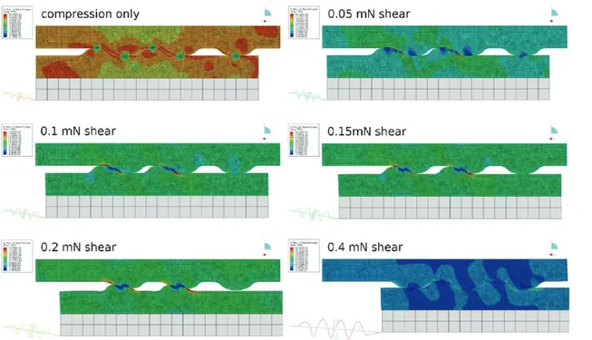 Figure 4. Finite element simulation of ﬁbril interaction, showing deformation and the maximum principal stress