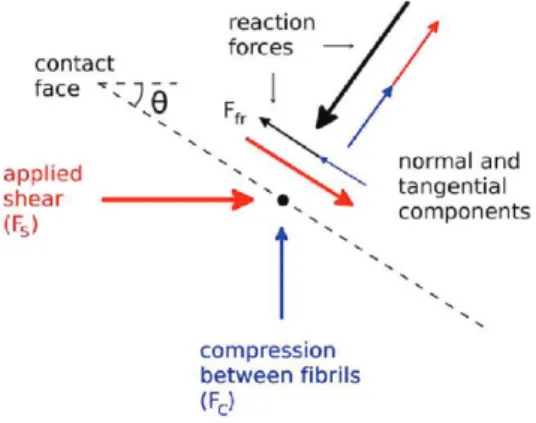 Figure 7. FE simulation showing (with von Mises stress distribution) the e ﬀect of stiﬀness on ﬁbril behavior under 0.1 mN of ﬁbril)