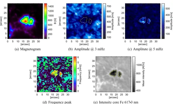 Fig. 1. a) Centre-of-gravity magnetogram Fe 617 .3 nm (absolute value). b) Amplitude of 3 mHz oscillations (Fe 617.3 nm)