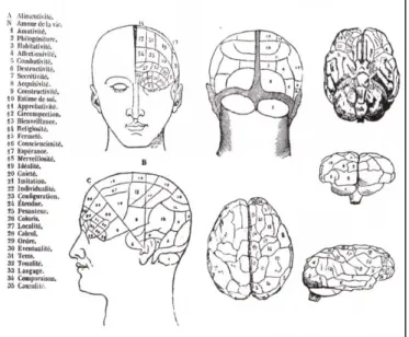 Figure  1.  List  of  faculties  with  their anatomical  seats,  from:  F.J.  Gall,  J.C