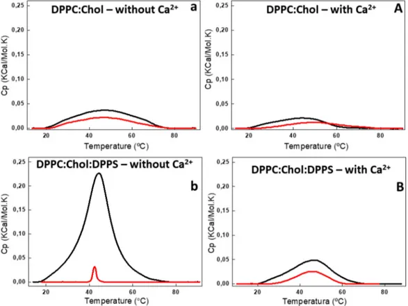 Figure 4. DSC thermograms of 6:4 DPPC:Chol (a,A) and 5:4:1 DPPC:Chol:DPPS (b,B) liposomes (10 mg/mL, total lipid concentration) in the absence (lower case) and in the presence (capital letter) of 2 mM Ca 2+ 