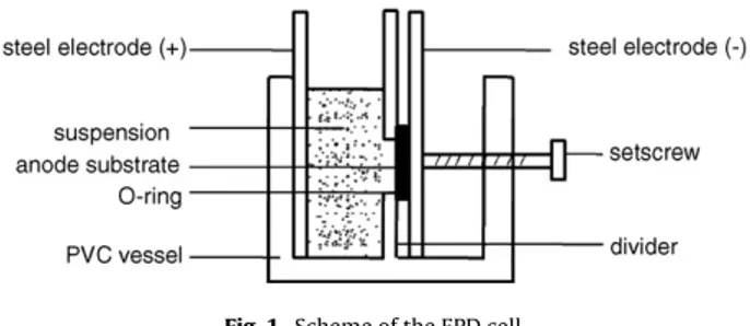 Fig. 1. Scheme of the EPD cell.