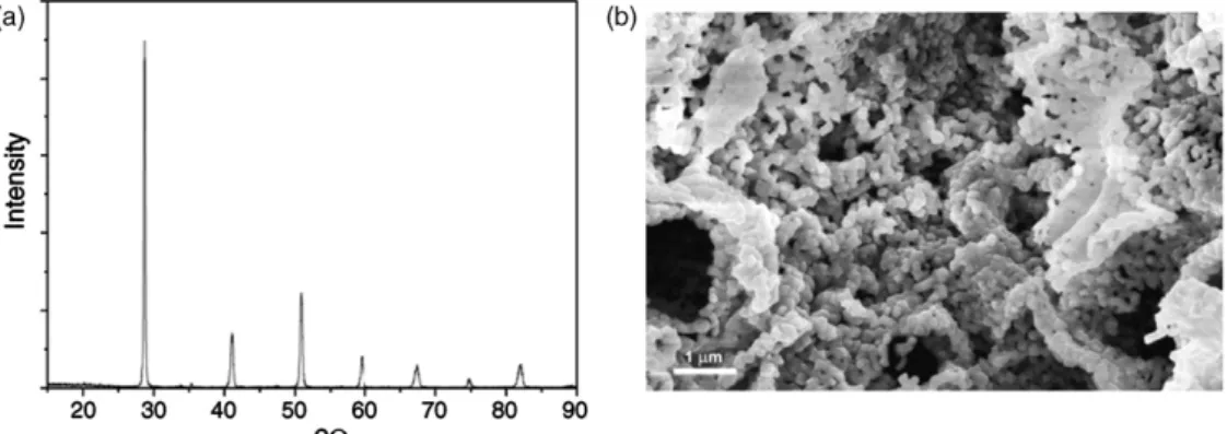 Fig. 2. XRD pattern (a) and SEM micrograph (b) of the BCY10 powder calcined at 1000 ◦ C for 10 h.