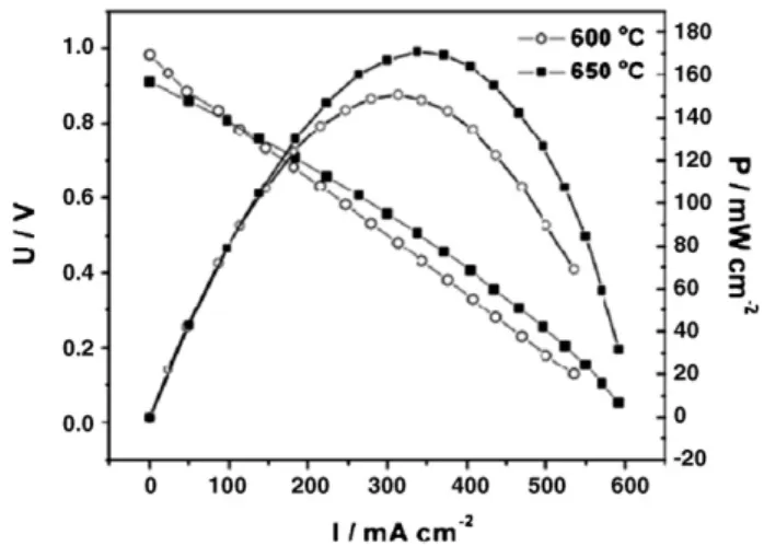 Fig. 7. SEM micrograph (cross-section view) of Ni–BCY10/BCY10/LSCF–10YbBC fuel cell, after electrochemical measurements.