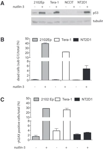 Fig. 2. Nutlin-3 treatment of testicular germ cell tumor cell lines  promotes H2AX phosporylation