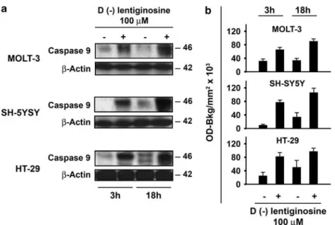 Figure 2 Quantitative detection of cytochrome c in MOLT-3, SH-SY5Y and HT-29 cells. The cells were treated with 0 and 100 mM D ()lentiginosine for 3 and 18 h, assayed by ELISA