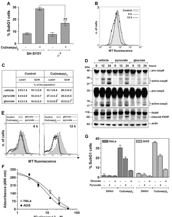 Fig. 3. Effect of glucose or pyruvate supplementation on Cu(isaepy) 2 -induced apoptosis