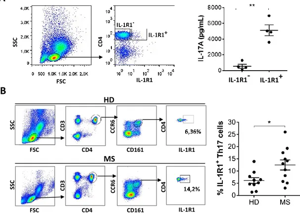 Figure 4. IL-1R1 +  cells in the blood are Th17 cells and are increased in MS patients compared to healthy  donors