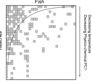 Figure 4. Matrices of fish6reaches and macroinvertebrate6reaches sorted by the software BINMATNEST to maximise nestedness (i.e