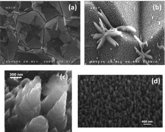 Fig. 4 shows FE-SEM images acquired before and after  the etching treatment of such close-packed flat layers