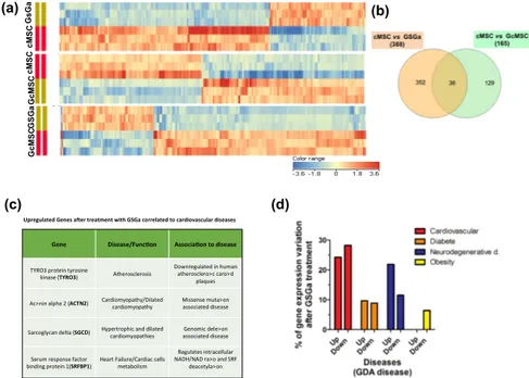 Figure 9. Transcriptional profiling of cMSC following GSGa treatment.  (a) Heat-maps show  significantly upregulated and downregulated genes in cMSC following prolonged (GcMSC/cMSC) or  3-day (GSGa/cMSC) GSGa treatment and those in GSGa with respect to GcM