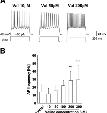 Fig. 3. Dose–response relationship of action potential (AP) frequencies and valine concentrations A— Example traces of 8 DIV cortical neurons exposed for 6 days to 10, 50 and 200 μM valine