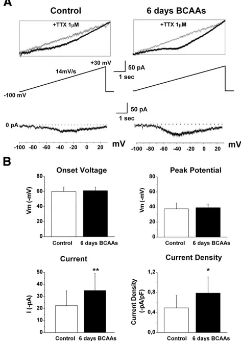Fig. 8. Persistent sodium current in Control and 6-day BCAA-treated cortical neurons. A— Persistent sodium current (I Nap ) evoked by a slow voltage ramp protocol (14 mV/s from −100 to +30 mV) in 8 day-old representative cortical neurons