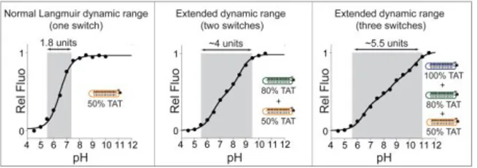 Figure  2.  Top:  Our  triplex  pH  nanoswitches  can  be  rationally  programmed to be triggered over a specifically defined pH window