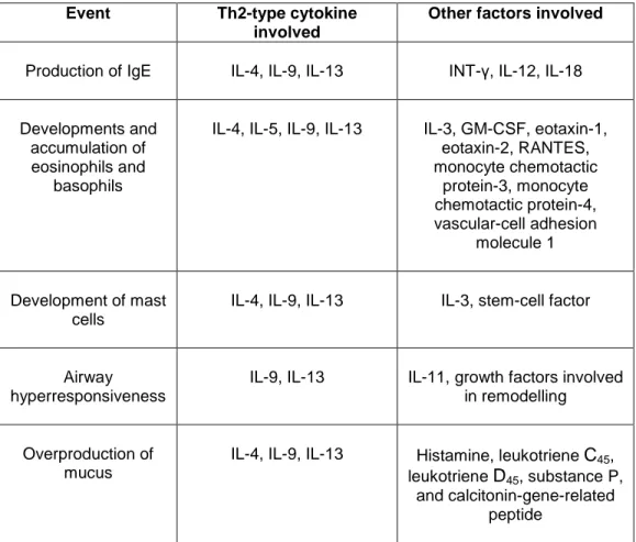 Table 2. The role of cytokines produced by Th2 cells in chronic allergic inflammation  (from Doctoral Dissertation of Pacciani 2007)