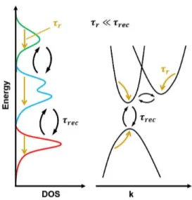 Fig. 1. The basic assumption of the multi-particle drift-diffusion model: