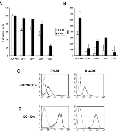 Figure 2. Phenotype, antigen uptake and antigen processing capacity by  IFN-DCs  and IL-4-DCs