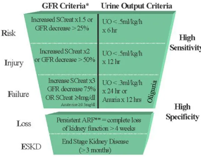 Fig 1. R.I.F.L.E. criteri per la diagnosi di IRA