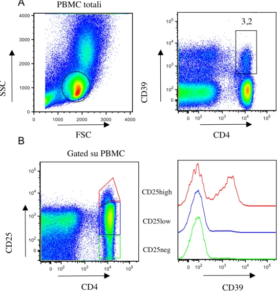 Figura  1.Espressione  del  CD39  su  linfociti  CD4+CD25high.  (A):  PBMC ottenute  da  donatore  sano  sono  state  marcate  con  anticorpi  anti  CD4,  CD25  e CD39  ed  analizzate  al  citofluorimetro