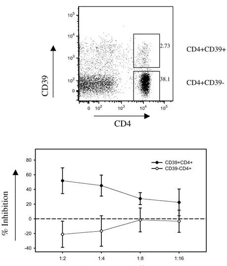 Figura  4.  La  capacità  regolatoria  della  popolazione  linfocitaria  CD4+  è confinata nella frazione CD39+
