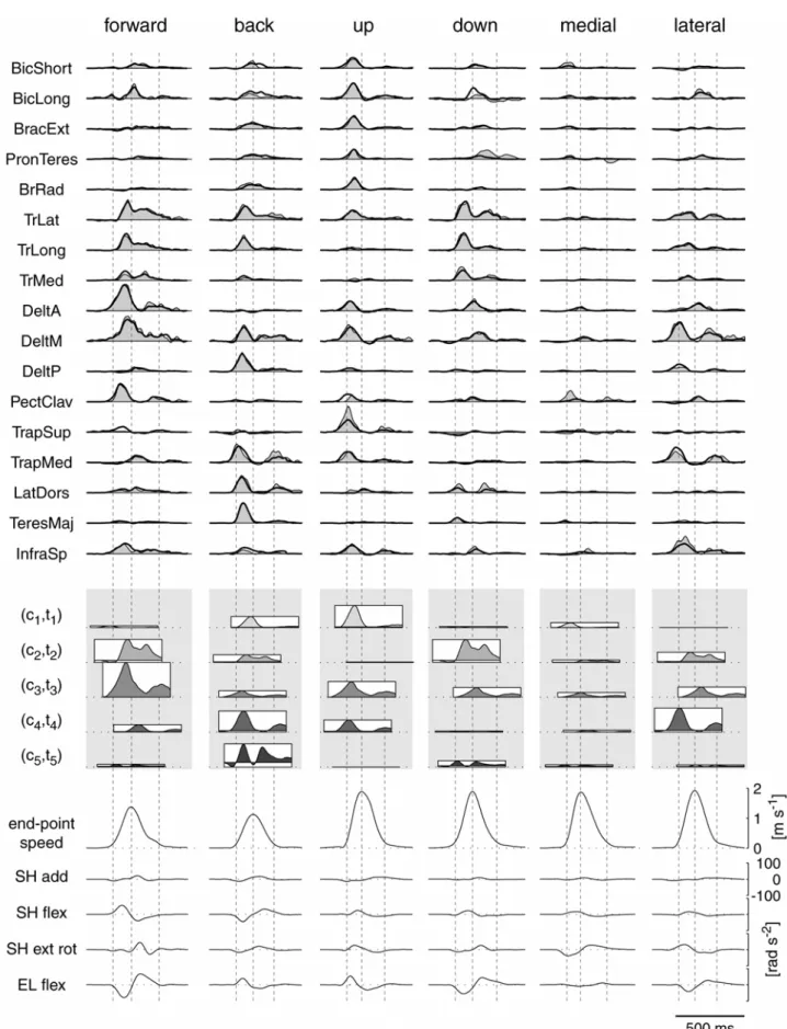 Figure 8: Esempio di ricostruzione dell’attività muscolare attraverso la combinazione di sinergie per  differenti condizioni di movimento