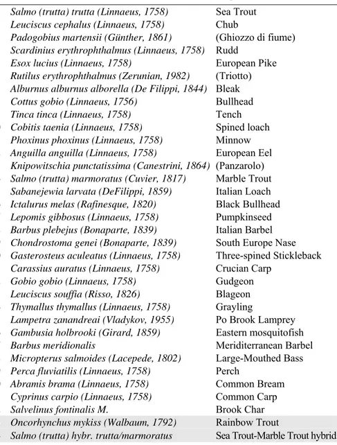 Table 3.8.1 List of the fish species in the Veneto data set. Modeled species are on  white background, while species that were excluded (see text) are on grey  background