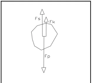 fig. 3.2  Equilibrio delle forze sul particolato  Di seguito è mostrata la struttura di una bolla  secondo la letteratura