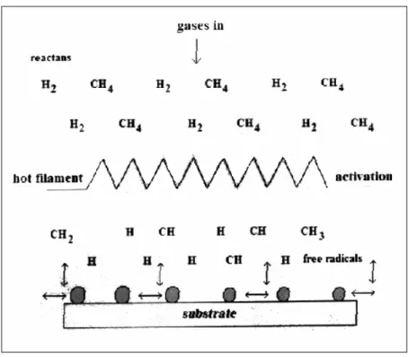 fig. 3.9 Schema  della reazione in camera HFCVD . 