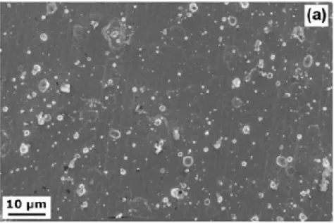 fig. 5-9 Micrografie SEM dell’interlayer CrN\Cr 