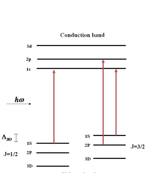 Figure 2.9: Electronic levels in a generic II-VI semiconductor quantum dot.