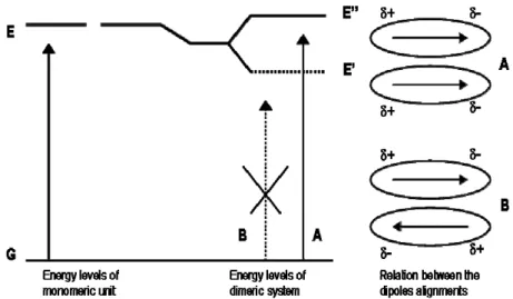 Fig. 1.23 - Orientation of dipole moments of two porphyrins forming J-aggregate.