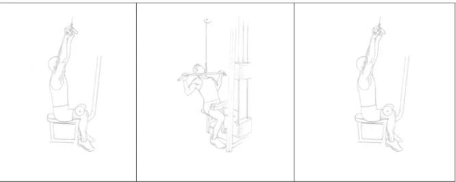 Fig. 6: porzione anteriore dei muscoli delle spalle 