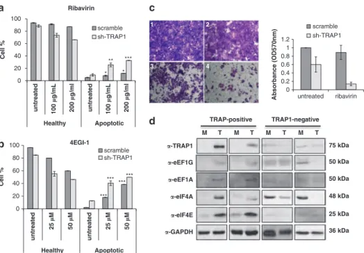 Figure 5 Downregulation of TRAP1 sensitizes HCT116 cells to drugs targeting cap-dependent translation