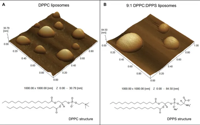 Fig. 1. 3D topographic AFM images of liposomes (1.5 mg.mL −1 ) samples composed by (A) DPPC (1000.00 × 1000.00 nm and y axis from 0 to 30.79 nm scales) and (B) 9:1 DPPC:DPPS (molar ratio) (1000.00 × 1000.00 nm and y axis from 0 to 84.50 nm scales).