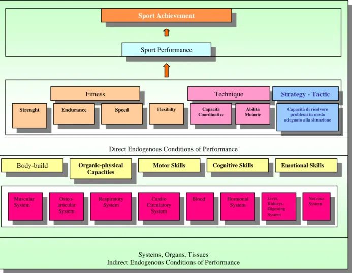 Figure  4 – Components of Sport Performances (Weineck, 2005) 