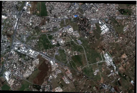 Figure 3.1 - QuickBird image of the Tor Vergata University Campus, Rome, and its sour- sour-rondings.